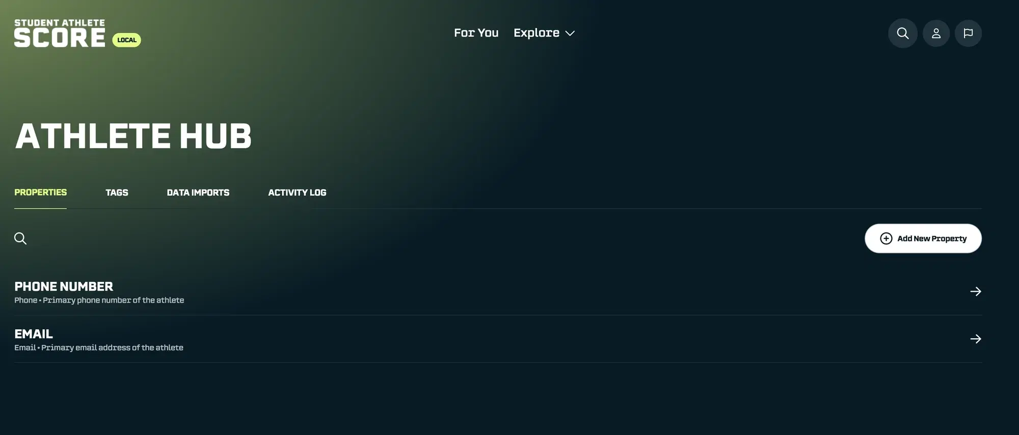 Properties Tab showing your organization's custom fields